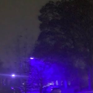 Meet your Posher, George